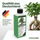 Ficus Ginseng Bonsai Dünger – 250ml Spezialdünger für tropische Zimmerbonsais | Fördert charakteristische Luftwurzeln & Stammverdickung | Optimal für Ficus microcarpa