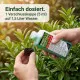 Prunus laurocerasus Extra + Eisen Spezial Kirschlorbeer Dünger FE PRO 250ml