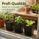 10 St. Pflanztöpfe 8x8x8,5cm Vierecktopf Profi Anzuchttopf