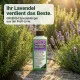 Lavendel & Rosmarin Dünger – NPK Volldünger für Lamiaceae | Lavandula, Rosmarinus officinalis, Salbei, Thymian, Minze, Basilikum | Flüssigdünger Konzentrat 250 ml