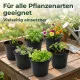 50 Runde Pflanztöpfe Ø 9 cm