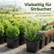 1 Stück XXL Pflanztopf 25 x 25 x 26 cm - 11 Liter Volumen