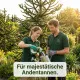 Araukarien-Dünger XL 1 Liter Araucaria Andentanne Schmucktanne