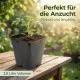 20 Stück XL Pflanztöpfe 16,0 x 16,0 x 16,5 cm - 3 Liter Volumen
