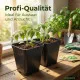 50 Stück XL Pflanztöpfe 16,0 x 16,0 x 16,5 cm - 3 Liter Volumen