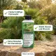 Zwergpalmen-Dünger Profi | Chamaerops humilis NPK Flüssigdünger 250ml | Fächerpalme düngen | GREEN24 PROFI LINIE