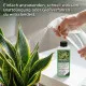 Bogenhanf Dünger – Spezialdünger für Sansevieria, 250 ml