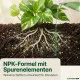 Efeututen-Dünger – 250ml Konzentrat für Epipremnum aureum & Scindapsus aureus | Kletterpflanzen-Spezialist | NPK + Spurenelemente