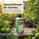 Guaven Dünger – HIGH-TECH NPK Flüssigdünger für Echte Guave (Psidium guajava) 250 ml – Perfekt für eine reiche Ernte und aromatische Früchte – Made in Germany