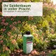Seidenbaum Dünger für Albizia julibrissin düngen Seidenakazie Schlafbaum Flüssigdünger 250ml