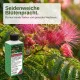 Seidenbaum Dünger für Albizia julibrissin düngen Seidenakazie Schlafbaum Flüssigdünger 250ml