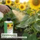 Sonnenblumen-Dünger - Helianthus NPK Flüssigdünger 250ml