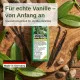 Echte Vanille Flüssigdünger, Gewürzvanille, Vanilla planifolia 250ml