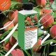 Pfirsich-Dünger - Prunus persica NPK Pfirsichbaum Flüssigdünger 250ml