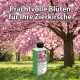 Zierkirsche-Dünger - Flüssigdünger für japanische Kirsche (Prunus serrulata, Prunus incisa, Prunus subhirtella) 250ml