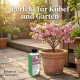 Zierkirsche-Dünger - Flüssigdünger für japanische Kirsche (Prunus serrulata, Prunus incisa, Prunus subhirtella) 250ml