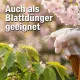 Zierkirsche-Dünger - Flüssigdünger für japanische Kirsche (Prunus serrulata, Prunus incisa, Prunus subhirtella) 250ml