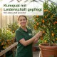 Kumquat-Dünger – NPK Flüssigdünger für Fortunella, Zwergorange, Zwergpomeranze – 250 ml Konzentrat