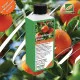 Mandarinenbaum-Dünger – Citrus reticulata Mandarienen Flüssigdünger für üppiges Wachstum und Früchte 250 ml