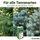 Tannen-Dünger – Abies Edel-Tanne, Nordmann-Tanne, Korea-Tanne Flüssigdünger 250ml