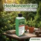 Tannen-Dünger – Abies Edel-Tanne, Nordmann-Tanne, Korea-Tanne Flüssigdünger 250ml