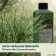 Kiefern-Dünger - Flüssigdünger für Pinus nigra, Pinus pinea, Pinus strobus, Pinus sylvestris, Pinus mugo etc. 250ml
