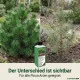 Kiefern-Dünger - Flüssigdünger für Pinus nigra, Pinus pinea, Pinus strobus, Pinus sylvestris, Pinus mugo etc. 250ml
