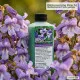 Blauglockenbaum-Dünger – 250ml Spezialdünger für Paulownia tomentosa | Für spektakuläre Blütenpracht & Turbo-Wachstum | Ideal für Kaiserbaum, Kiri-Baum & Energieholz