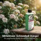 Mittelmeer-Schneeball Dünger - Viburnum tinus Flüssigdünger- Lorbeerschneeball - Immergrüner Schneeball 250ml