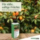 Kakibaum-Dünger - Diospyros kaki Flüssigdünger für reichhaltige Früchte 250 ml