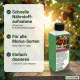 Maulbeerbaum-Dünger – Morus NPK Flüssigdünger für gesunden Wuchs und üppige Ernte 250 ml