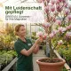 Magnolien-Dünger Magnolia NPK Düngemittel 250 ml für gesundes Wachstum, kräftige Blätter und prachtvolle Blüten