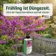 Judasbaum-Dünger - Cercis siliquastrum, Cercis chinensis, Cercis canadensis NPK Flüssigdünger 250 ml
