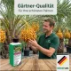 Dattelpalmen-Dünger – 250ml Spezialdünger für Phoenix | Fördert kräftige Wedel & sattes Grün | Ideal für alle Dattelpalmen-Arten