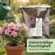 Rhododendron & Azaleen Erde 10L - Profi Substrat