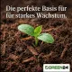 Stauden & Zierpflanzen Erde 10L Profi Linie – Das Fundament für jahrelange Blütenpracht
