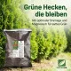 Thuja & Chamaecyparis Erde 10L Profi-Linie – Das Hecken-Substrat für dichten, grünen Sichtschutz