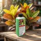 Kroton Dünger 250 ml – Flüssigdünger für Codiaeum variegatum, Wunderstrauch