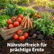 Komposterde ORGANIC LINIE – 10L torffreies Kompost Spezialsubstrat für organisches Urban Gardening