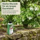Davidia Dünger, NPK Flüssigdünger für Taschentuchbaum & Taubenbaum 250ml, Spezialdünger für Davidia involucrata, Fördert Hochblätter & Vitalität