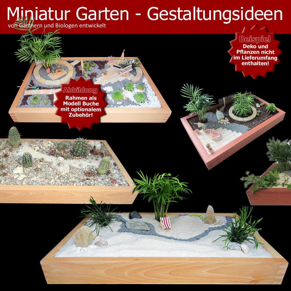 Minigarten Einen Miniatur Zimmer Garten Gestalten