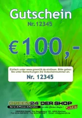 100 Euro Gutschein