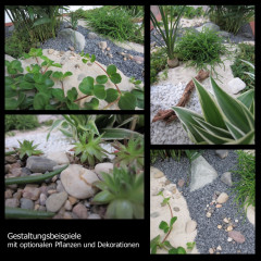 Minigarten - einen Miniatur Zimmer-Garten gestalten