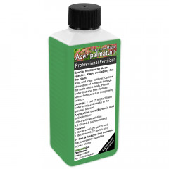 Acer japonicum/palmatum Plant Food Japanese Maple, Fullmoon Maple 250ml