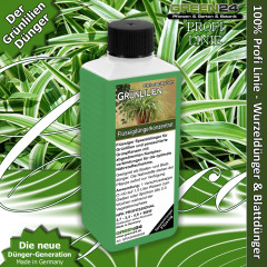 Grünlilien Dünger Chlorophytum düngen 250ml