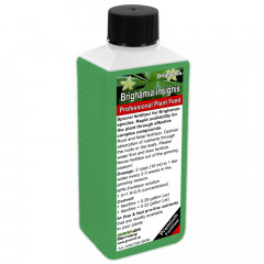 Brighamia insignis Liquid Fertilizer 250ml