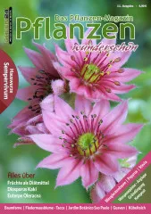 Pflanzen wunderschön - Ausgabe 11