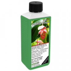 Medinilla magnifica Dünger für Medinillen 250ml