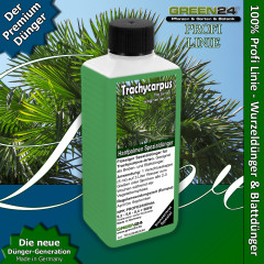 Trachycarpus Dünger für Hanfpalmen Tessinerpalmen Trachycarpus fortunei wagnerianus 250ml