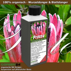 Protea Dünger organisch - NK-Flüssigdünger für Proteen und Banksien 250ml